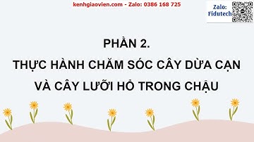 Giáo án powerpoint Bài 5 Chăm sóc hoa cây cảnh trong chậu | Công nghệ 4 CTST
