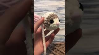 ferret!!!