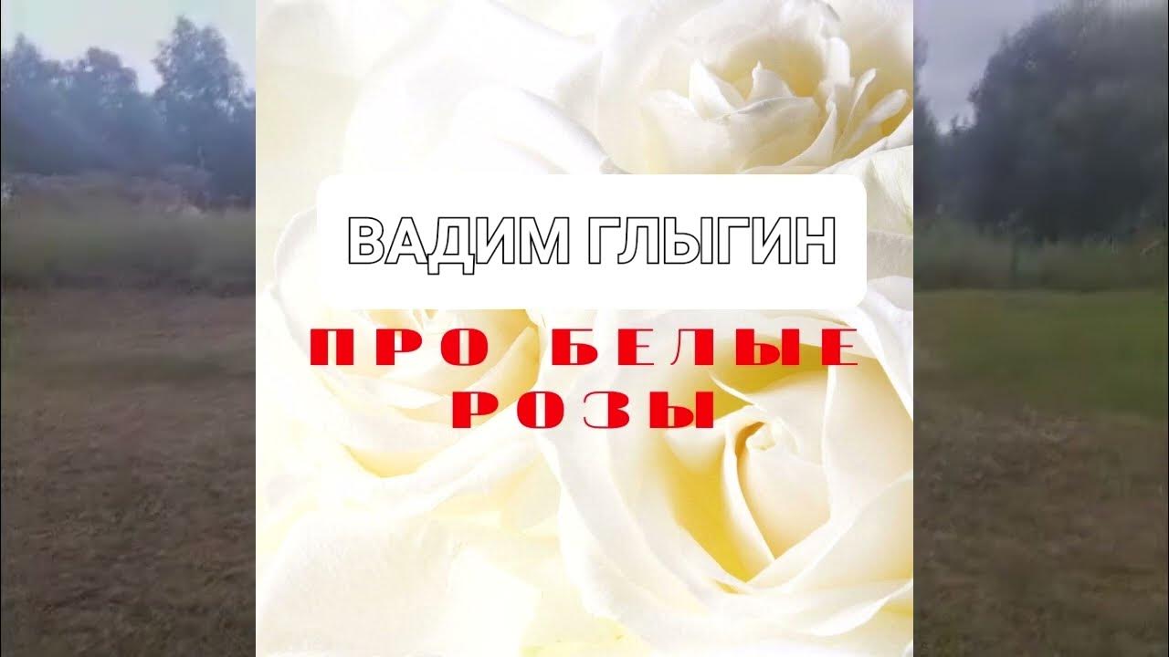 Белые розы кавер. Белые розы кавер