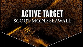 ACTIVE TARGET - SCOUT MODE SEAWALL