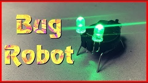 How you can make a robo bug