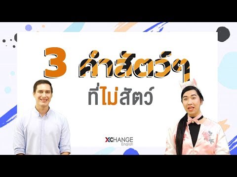 สรรพ แปลว่า 2022 Update X-English :: 3 คำศัพท์สรรพสัตว์ ที่ไม่ได้แปลตรงๆ ว่า #สัตว์ 🦜🐵🦏