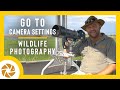 Best CAMERA SETTINGS for WILDLIFE PHOTOGRAPHY.