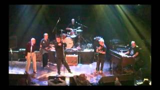 Tribute to Peter Traynor  - Steven Ambrose - Got My Mojo Workin'