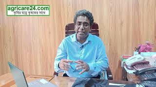 পেঁপের ফল ঝরা রোধে করণীয়