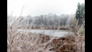 Behind The Scenes - Mornings At Olde Wood Ltd