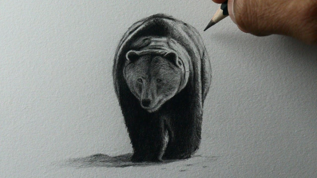 como desenhar um panda realista｜Pesquisa do TikTok