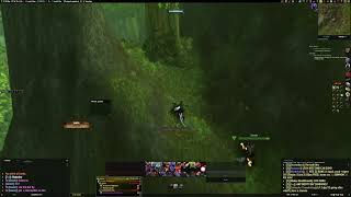 Flyhacking bot in World of Warcraft Classic Era