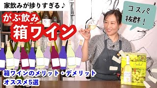 【1本あたり300円!?】家飲みが捗りすぎる！箱ワイン【飲み過ぎ注意】ボックスワイン・BIB｜ワイン初心者さんにも！ソムリエおすすめ家飲みワイン