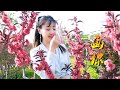 草原歌曲 画你 科尔沁夫 歌声悠扬悦耳 深情好听 宛如天籁 草原歌曲 画你 科尔沁夫 歌声悠扬悦耳 深情好听 宛如天籁