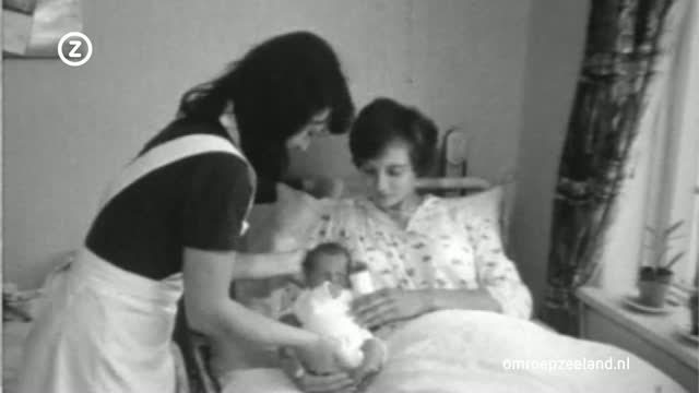 Trugkieke - Dolle Mina's (8 juli 2016)