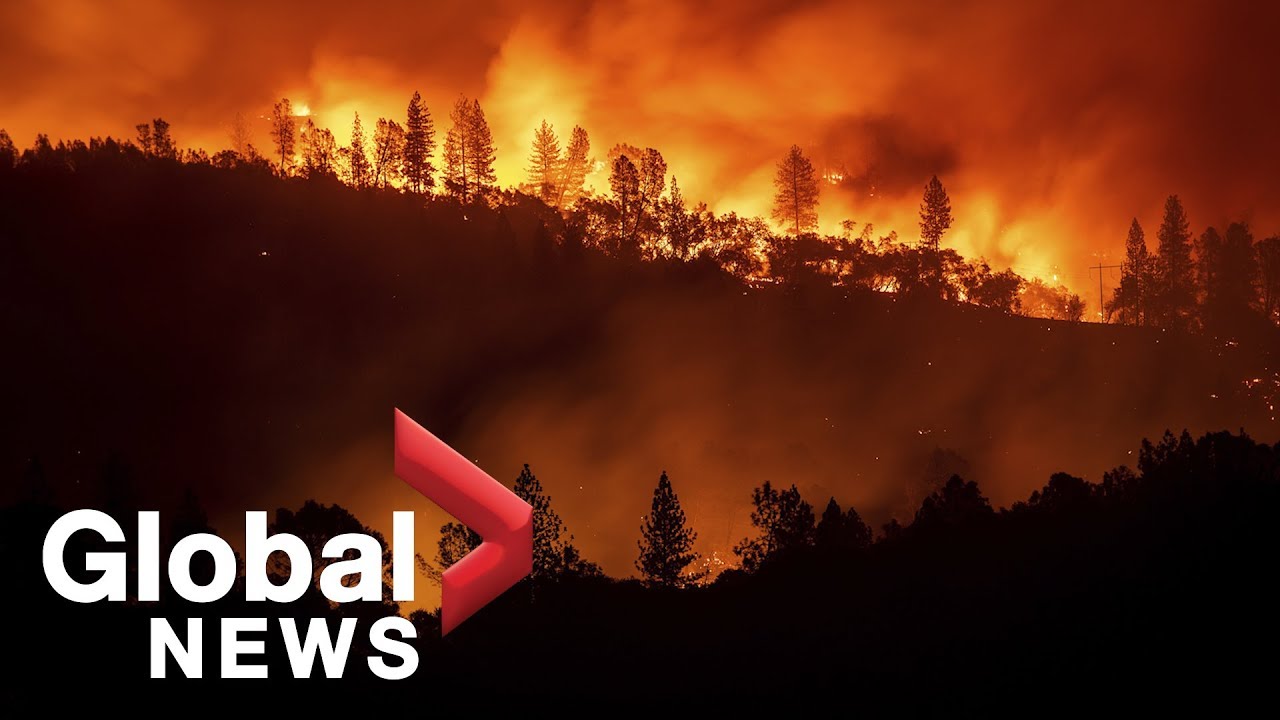 officials in california update