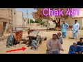 Punjabi village  chak 481 gb samundri  pakistan punjab village life vlog