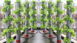 Automatic Watering Stand Garden Idea, Recycling PVC Pipe Makes Beautiful Cegetable Garden Clean