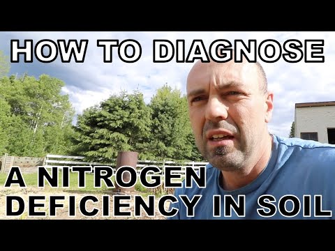 How To Diagnose A Nitrogen Deficiency, And Increase Nitrogen In The Soil