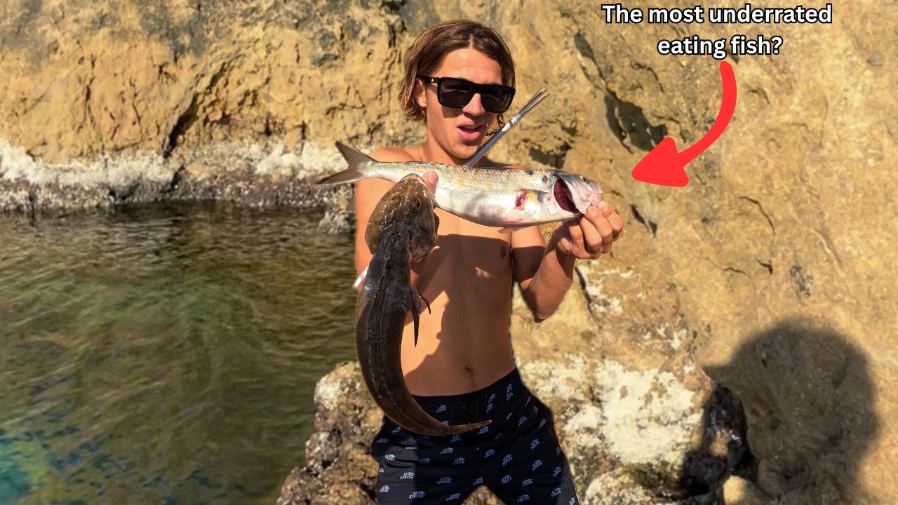 The Most Underrated Eating Fish In Australia? Catch And Cook