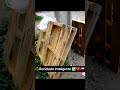 Reciclado ♻️ Inteligente 🧠 para Tus proyectos o Generar un Negocio Rentable Parte1