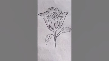 How to draw a rose. (part 2)#shorts #drawing #foryou #artvideo #art #rose