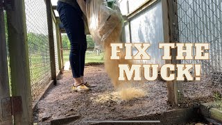 How We Fix a Muddy Chicken Run