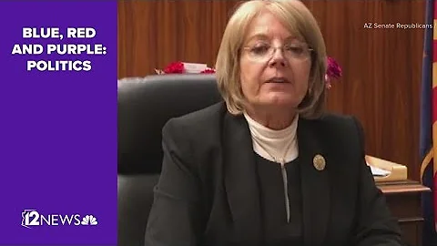 Arizona Senate President Karen Fann subpoenaed by ...