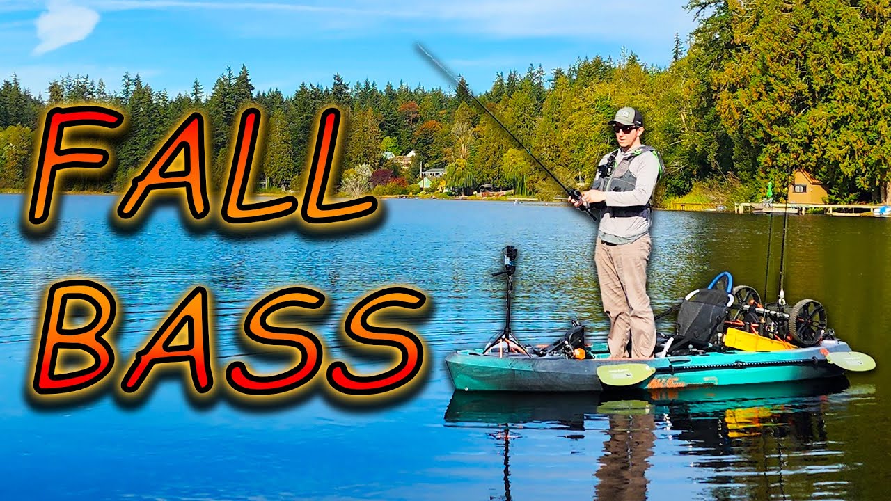 Fall Bass Fishing Is A Tricky Beast - YouTube