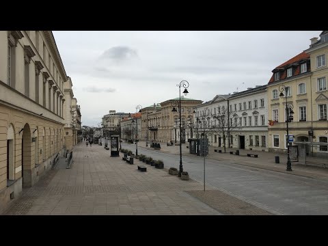 Historia filozofii analitycznej – Koło Wiedeńskie