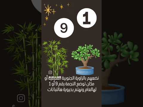 خطوات بسيطة تجذب الوفرة والثروة لمنزلك وفرة طاقة المكان ثروة الثراء
