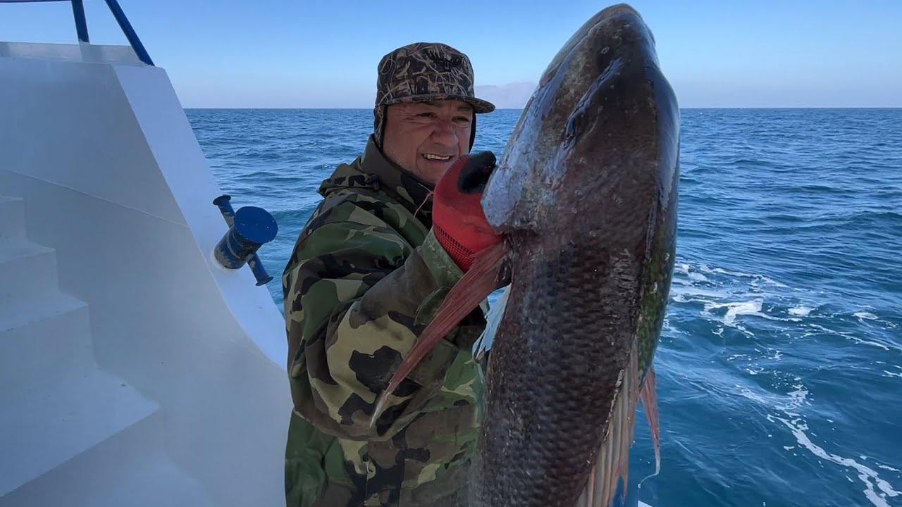 DEV GÖÇ BALIKLARIYLA KARŞILAŞTIK! | GÖKÇEADA'NIN BEREKETİ!