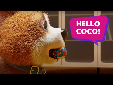 Double The Fun With Coco