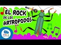 Conociendo a los Artrópodos
