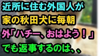 家の秋田犬に毎日声をかける外国人「ハチー、おはよう！」⇒でもいつも返事するのは、、【外国人の和む話】