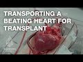 Transporting a beating heart for transplant - TechKnow