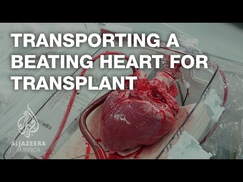 Preprava bijúceho srdca na transplantáciu - TechKnow