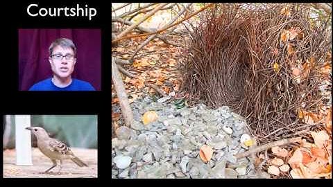 Behavior and Natural Selection