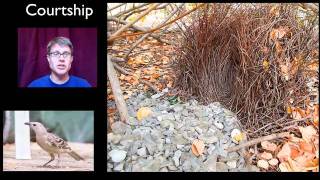 Behavior and Natural Selection