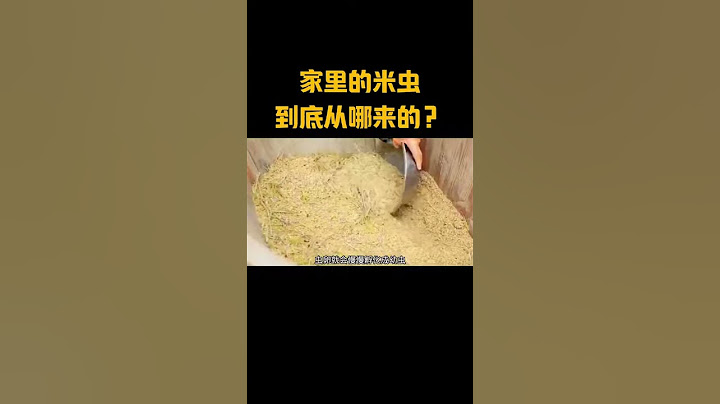 家里的米虫，到底从哪里来的？
