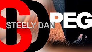 Steely Dan Peg Vinyl Ortofon 2M Black