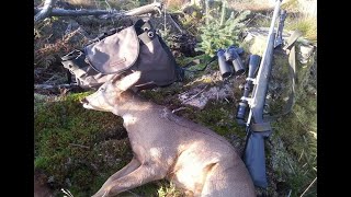 Scottish Buck Hunt Deer Stalking UK 7mm Rem Mag Huge Impact and Bullet Vortex Hornady SST
