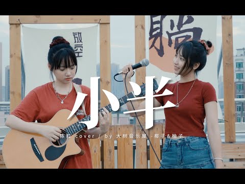 细腻又深情！《小半》陈粒Cover-吉他弹唱翻唱