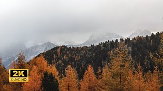 3 Hours of Enchanting Autumn Nature Scenes - Relaxing Piano Music for Stress Relief by Heart Music 383 views 5 months ago 3 hours, 17 minutes