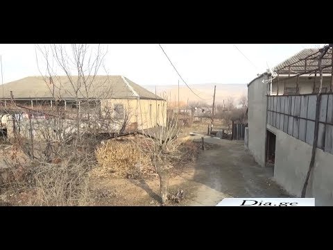 მწყემსმა გარდაცვლილი 20 წლის ბიჭი კასპის მუნიციპალიტეტში იპოვა 26.12.2019