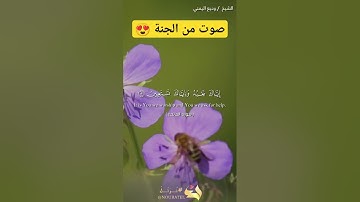 سورة الفاتحة #القرآن_الكريم #holyquran #تلاوات #تلاوة_خاشعة #تلاوة_هادئة #تلاوات_خاشعة #ترتيل