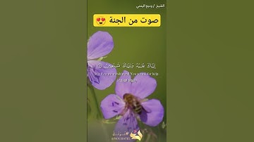 سورة الفاتحة #القرآن_الكريم #holyquran #تلاوات #تلاوة_خاشعة #تلاوة_هادئة #تلاوات_خاشعة #ترتيل