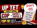 UP TET CDP 2026 most important questions previous year question paper वाले सवाल CTET SUPER TET all E