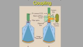 rad 211 chp 25 and 26
