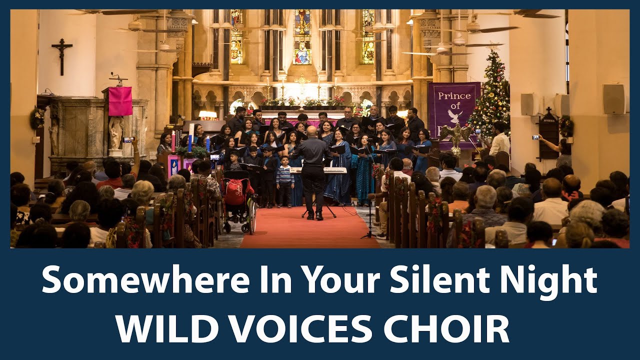 Somewhere In Your Silent Night - Wild Voices Choir