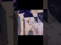 #cat #love #pets #viral #viralshorts #viralsong #tranding#song #youtubeshorts #youtube #shorts #cute