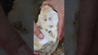 Gold Stone