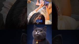 BRO IS INSANE 🥶 #funny #cat #memes