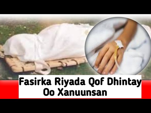 Legginglarda tranniylarni tomosha qiling Jinsiy stajyorlar uchun kalit